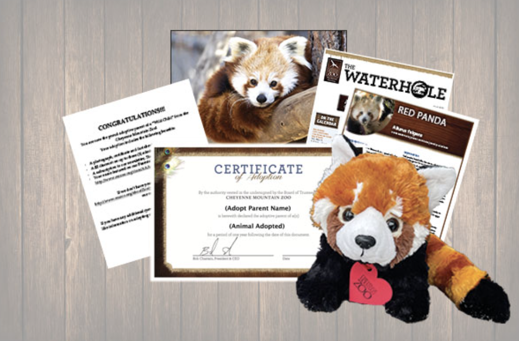 Red Panda Valentine's Gift Cheyenne Mountain Zoo